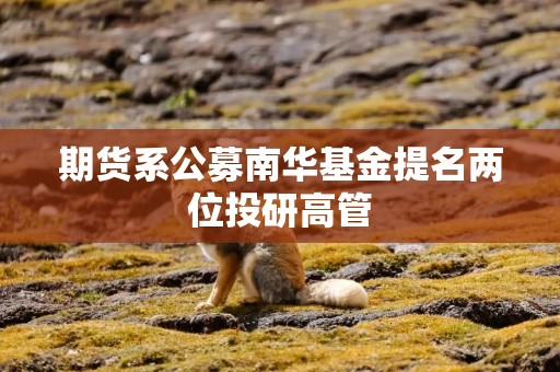 期货系公募南华基金提名两位投研高管