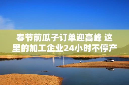 春节前瓜子订单迎高峰 这里的加工企业24小时不停产
