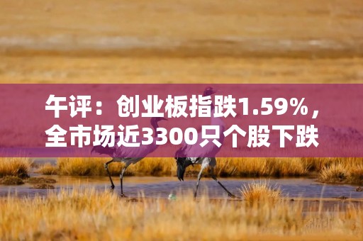 午评：创业板指跌1.59%，全市场近3300只个股下跌，小红书概念持续火热，金融科技板块普遍调整