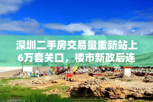 深圳二手房交易量重新站上6万套关口，楼市新政后连现5个“日光盘”