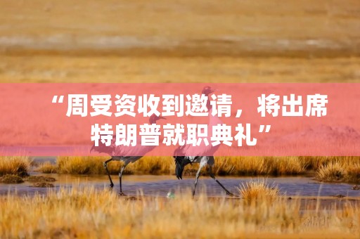 “周受资收到邀请，将出席特朗普就职典礼”