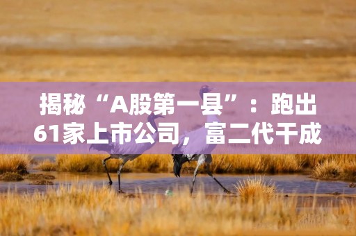 揭秘“A股第一县”：跑出61家上市公司，富二代干成中国马斯克？