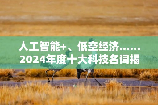 人工智能+、低空经济……2024年度十大科技名词揭晓