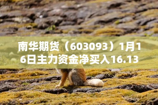 南华期货（603093）1月16日主力资金净买入16.13万元
