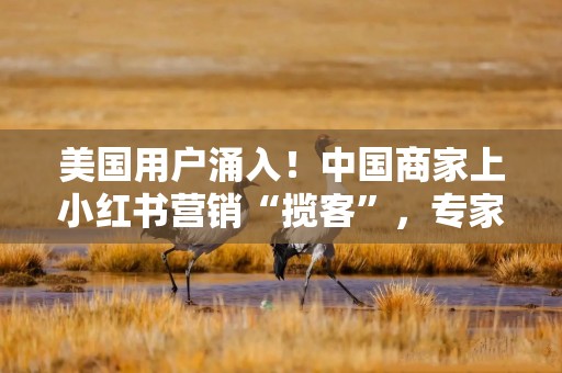 美国用户涌入！中国商家上小红书营销“揽客”，专家：会有实际效果