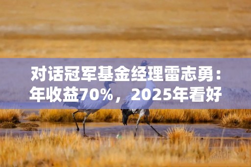 对话冠军基金经理雷志勇：年收益70%，2025年看好算力、光模块｜基遇2025