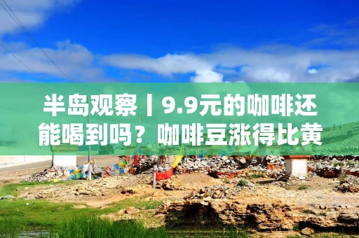 半岛观察丨9.9元的咖啡还能喝到吗？咖啡豆涨得比黄金猛，瑞幸已悄悄涨价