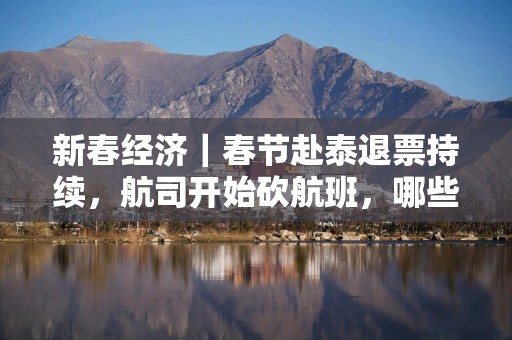 新春经济｜春节赴泰退票持续，航司开始砍航班，哪些城市或躺赢