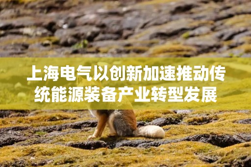 上海电气以创新加速推动传统能源装备产业转型发展