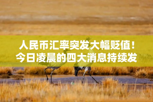 人民币汇率突发大幅贬值！今日凌晨的四大消息持续发酵！（1.17）