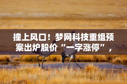 撞上风口！梦网科技重组预案出炉股价“一字涨停”，标的曾获小红书电商代理商认证