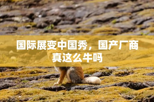 国际展变中国秀，国产厂商真这么牛吗