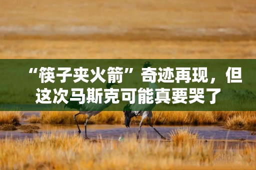 “筷子夹火箭”奇迹再现，但这次马斯克可能真要哭了
