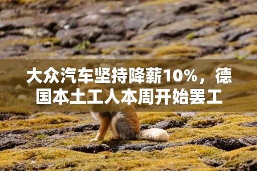 大众汽车坚持降薪10%，德国本土工人本周开始罢工