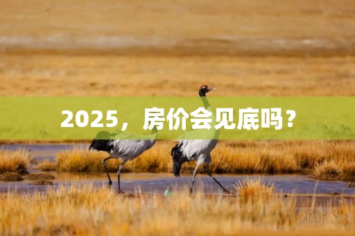 2025，房价会见底吗？