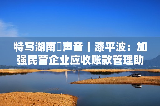 特写湖南・声音丨漆平波：加强民营企业应收账款管理助力企业发展