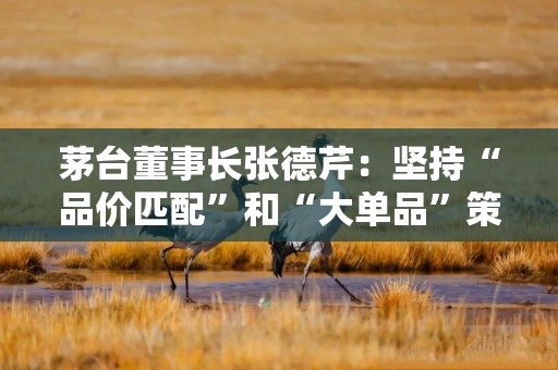 茅台董事长张德芹：坚持“品价匹配”和“大单品”策略，充分挖掘存量需求、培育增量需求