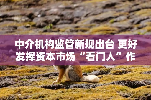 中介机构监管新规出台 更好发挥资本市场“看门人”作用