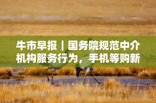 牛市早报｜国务院规范中介机构服务行为，手机等购新补贴方案公布