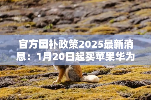 官方国补政策2025最新消息：1月20日起买苹果华为手机最高补500元