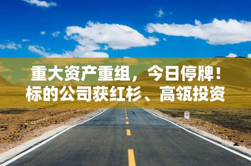 重大资产重组，今日停牌！标的公司获红杉、高瓴投资！公司回应