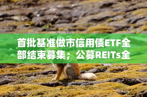 首批基准做市信用债ETF全部结束募集；公募REITs全线升温