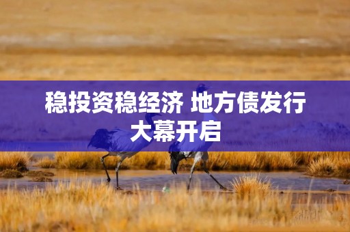 稳投资稳经济 地方债发行大幕开启