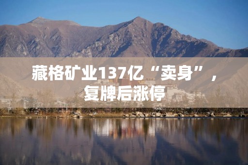 藏格矿业137亿“卖身”，复牌后涨停