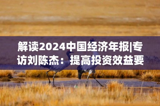 解读2024中国经济年报|专访刘陈杰：提高投资效益要抓住全球人工智能发展浪潮