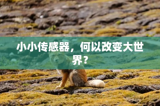 小小传感器，何以改变大世界？