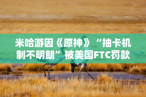 米哈游因《原神》“抽卡机制不明朗”被美国FTC罚款2000万美元