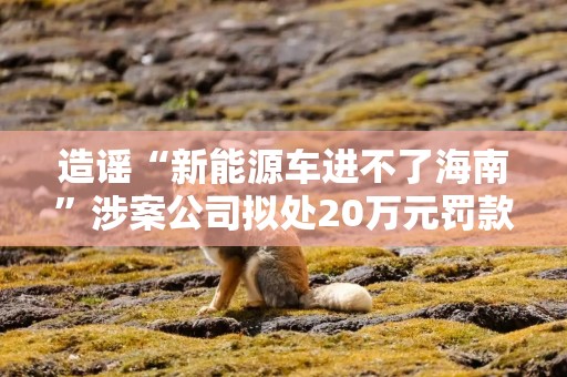 造谣“新能源车进不了海南”涉案公司拟处20万元罚款