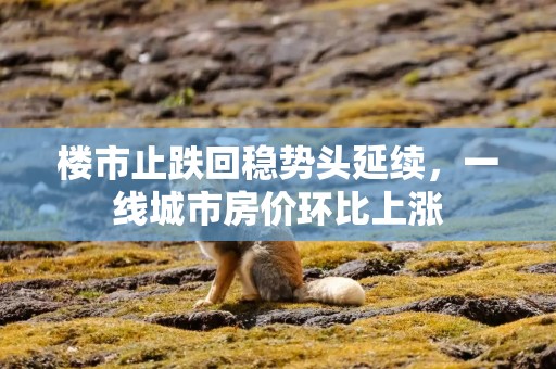 楼市止跌回稳势头延续，一线城市房价环比上涨