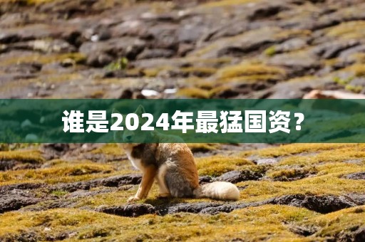 谁是2024年最猛国资？