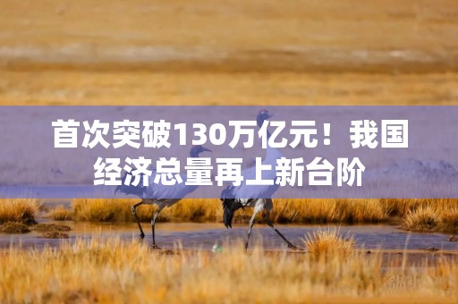 首次突破130万亿元！我国经济总量再上新台阶