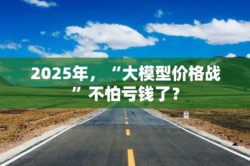 2025年，“大模型价格战”不怕亏钱了？