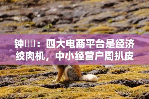 钟睒睒：四大电商平台是经济绞肉机，中小经营户周扒皮