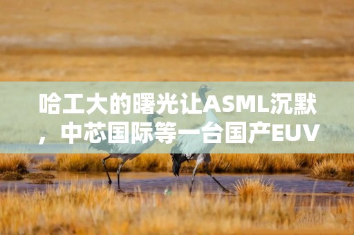 哈工大的曙光让ASML沉默，中芯国际等一台国产EUV