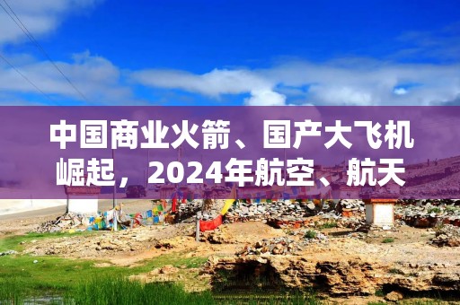 中国商业火箭、国产大飞机崛起，2024年航空、航天器及设备制造业投资增长39.5%