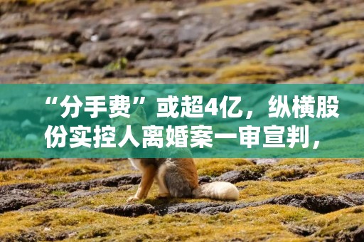 “分手费”或超4亿，纵横股份实控人离婚案一审宣判，公司上市至今从未盈利