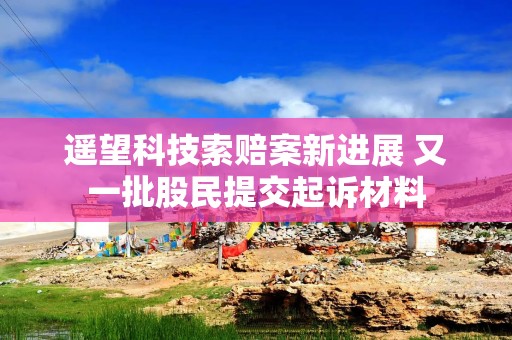 遥望科技索赔案新进展 又一批股民提交起诉材料