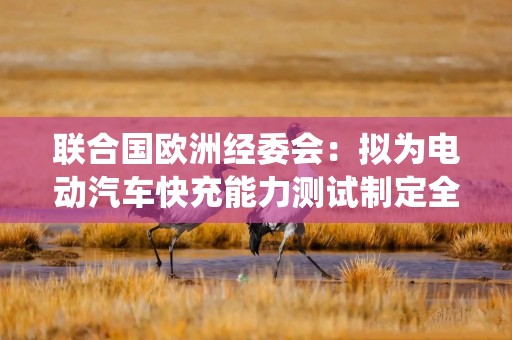 联合国欧洲经委会：拟为电动汽车快充能力测试制定全球统一标准