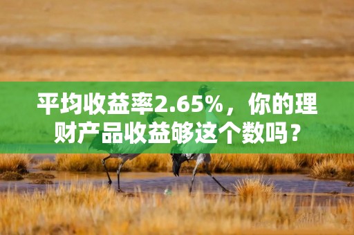平均收益率2.65%，你的理财产品收益够这个数吗？