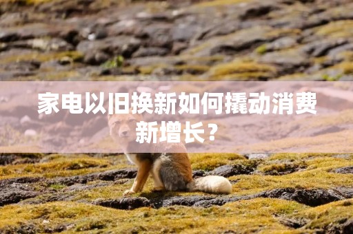家电以旧换新如何撬动消费新增长？