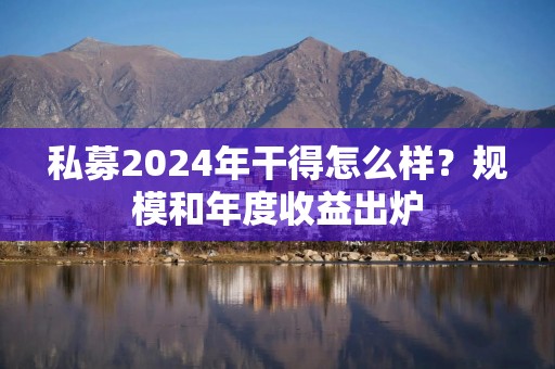 私募2024年干得怎么样？规模和年度收益出炉