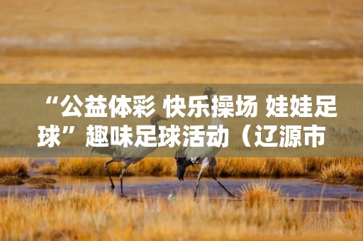 “公益体彩 快乐操场 娃娃足球”趣味足球活动（辽源市）站活力开赛