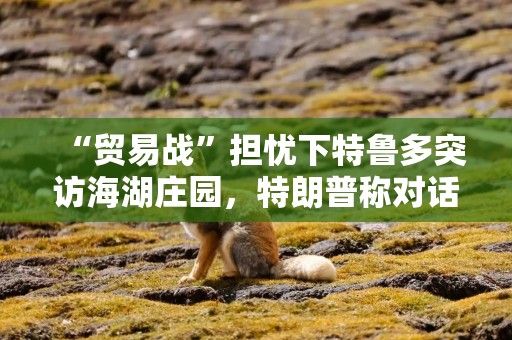 “贸易战”担忧下特鲁多突访海湖庄园，特朗普称对话“富有成效”