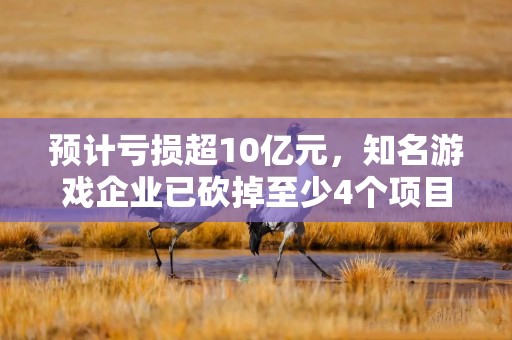 预计亏损超10亿元，知名游戏企业已砍掉至少4个项目，并进行人员优化