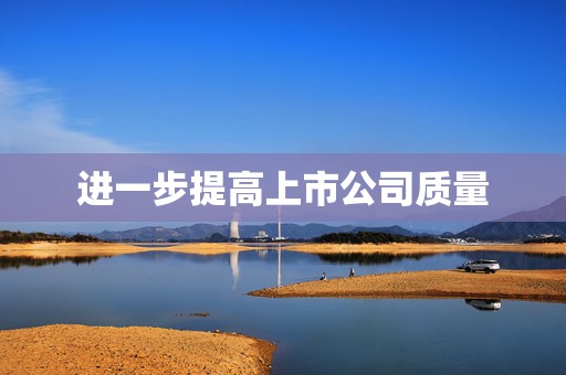 进一步提高上市公司质量