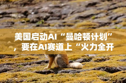 美国启动AI“曼哈顿计划”，要在AI赛道上“火力全开”？